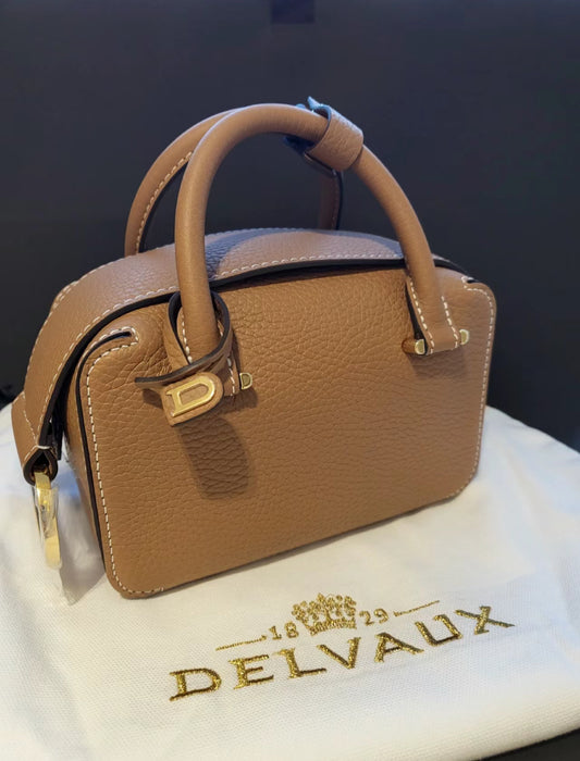 Delvaux Coolbox nano